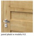 PanelPlaski.jpg