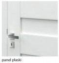 PanelPlaski.jpg